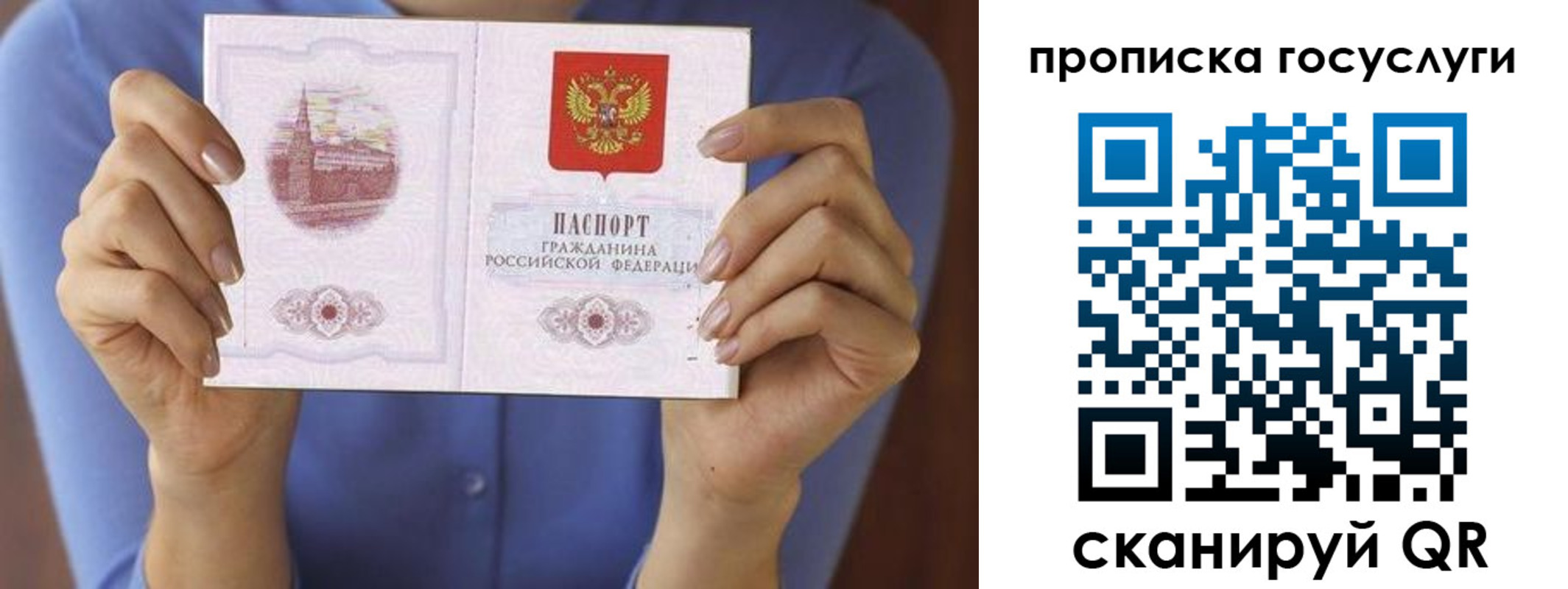 временная регистрация поиск в Орехово-Зуево